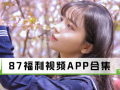 87福利视频,揭秘热门短视频背后的精彩故事