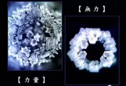 水知道答案视频完整版,科学实证与心灵奥秘的完美融合
